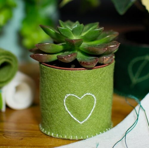 Habiller ses petites plantes de feutrine de laine