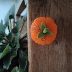 le kit des petites citrouilles de Pique & Colegram